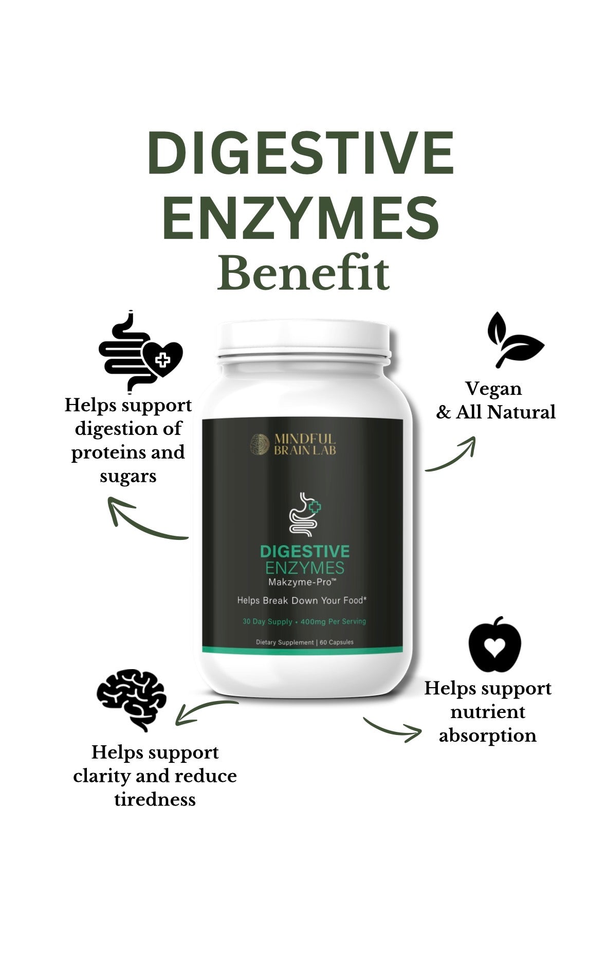 Digestive Enzymes