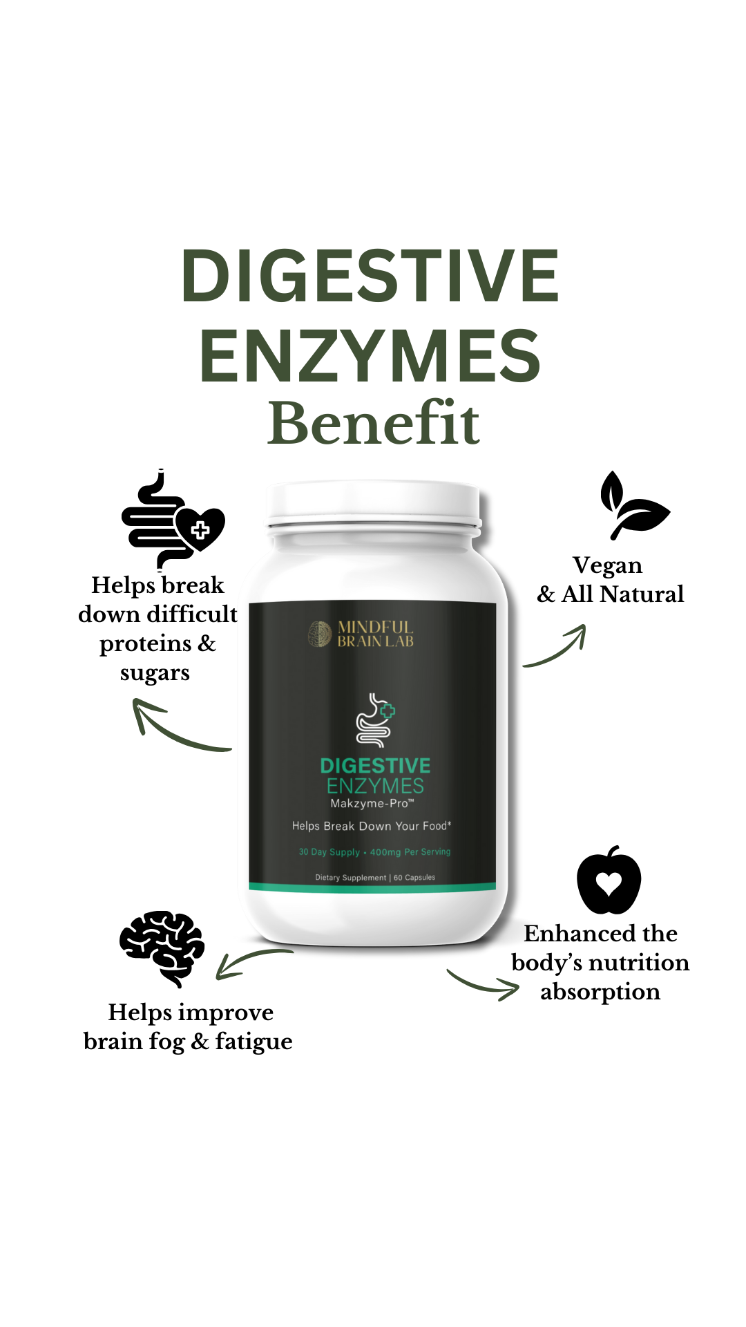Digestive Enzymes