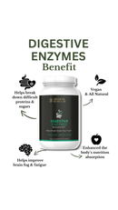 Digestive Enzymes